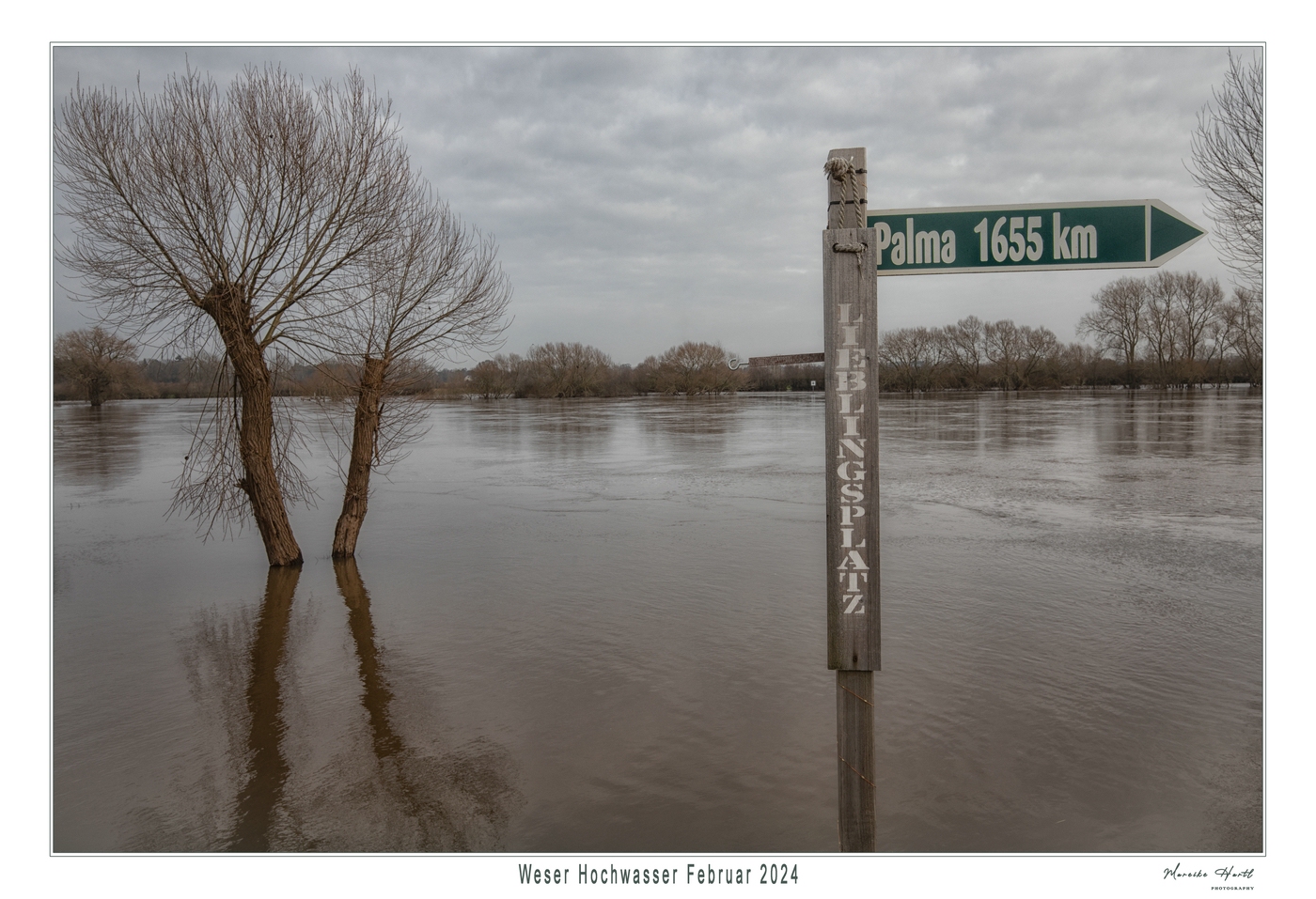 Naturphnomen Hochwasser