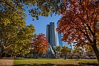 Tower 185 im Herbst