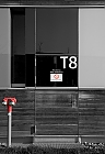 T 8