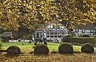 Herbst im Bergischen