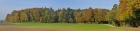 Herbstwald