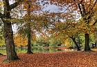 Herbst im Stadtwald