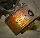 Rost