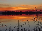 Sonnenaufgang am Kisbalaton