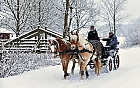 Begegnung im Schnee