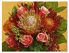 Protea Strauss