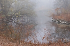 Nebel ber den Teich
