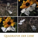 Quadratur der Liebe ... = ?