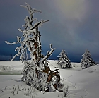 Winter am Hirtstein im Erzgebirge