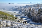 Eine bezaubernde Landschaft