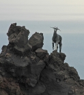 Fotoreise Stromboli/Vulcano