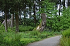 WALD & WIESENWEG