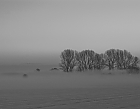 Schneefeld im Nebel