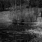 Am Weiher