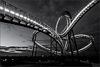 Tiger & Turtle