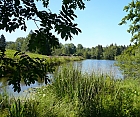 Moorweiher im Allgu