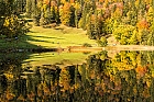 Herbst am Alatsee