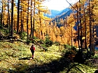 Herbst auf der Schneealpe