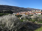 Kirschblte im Valle del Jerte...