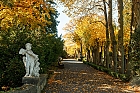 Herbst auf der Roseburg