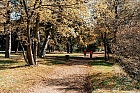 Sport im Stadtpark