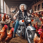 Meine Oma fhrt im Hhnerstall Motorrad