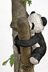 Groer Panda