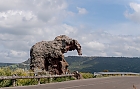 La roccia dell' elefante